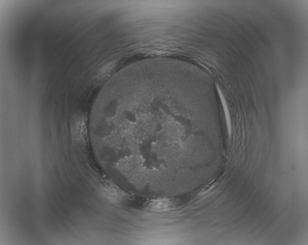 X0000054370127200508051605