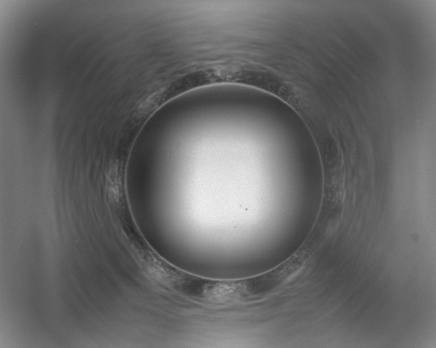 X0000054370129200508051605