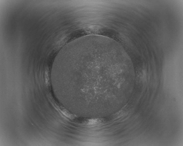 X0000054370130200508051605