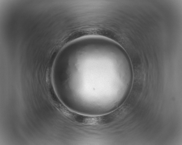 X0000054370131200508051605