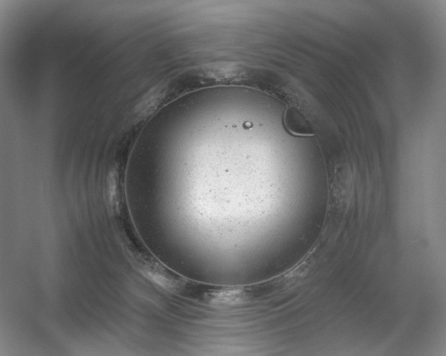 X0000054370132200508051605