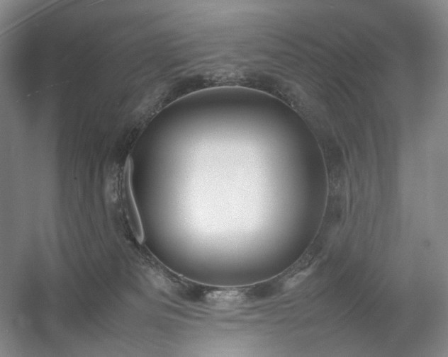 X0000054370133200508051605