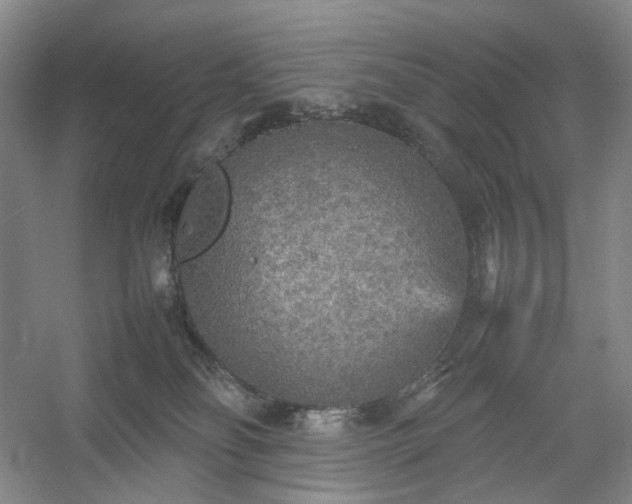 X0000054370134200508051605