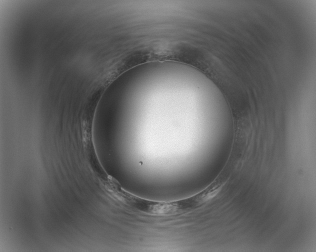 X0000054370135200508051605