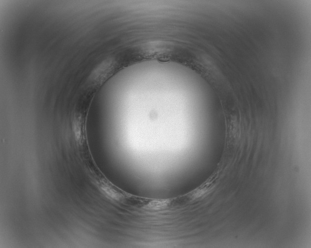 X0000054370138200508051605