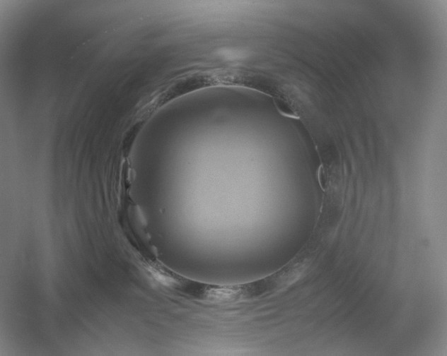 X0000054370139200508051605