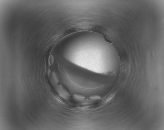 X0000054370143200508051605