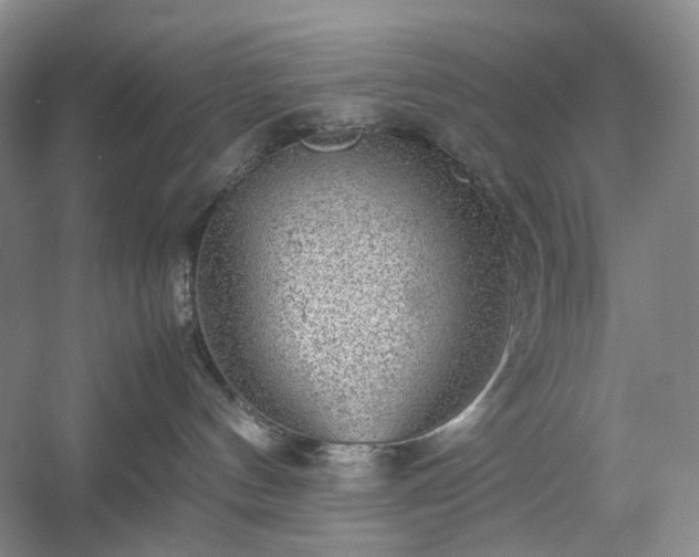 X0000054370144200508051605