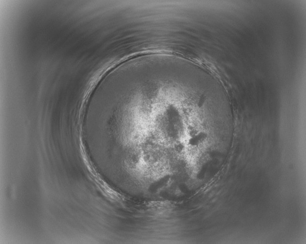 X0000054370145200508051604