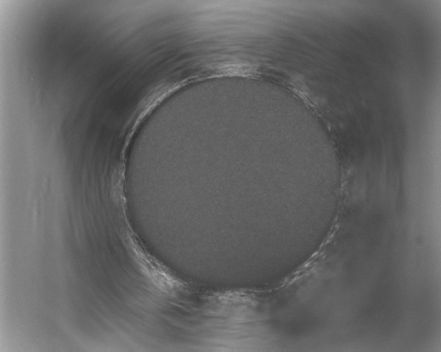 X0000054370146200508051604