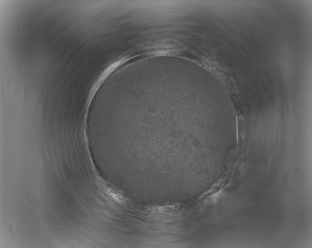 X0000054370147200508051604