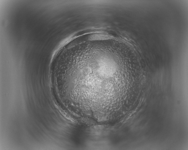 X0000054370149200508051604