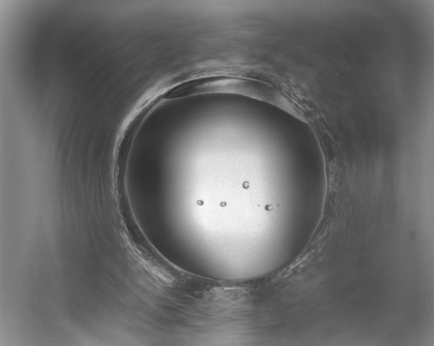 X0000054370150200508051604