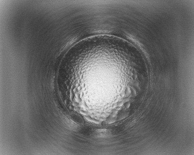 X0000054370153200508051604