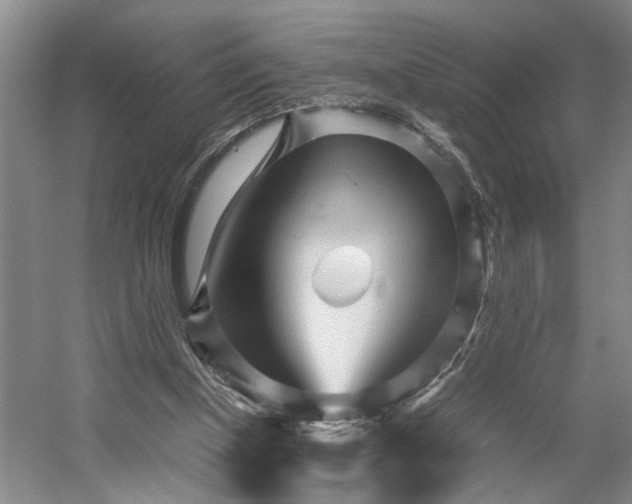 X0000054370154200508051604