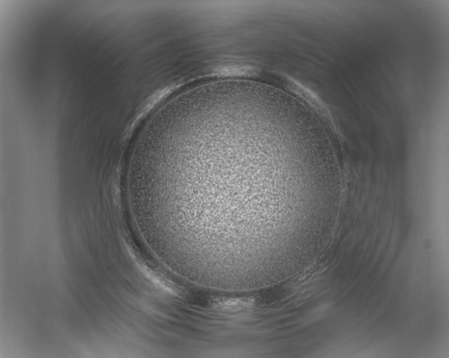 X0000054370155200508051604