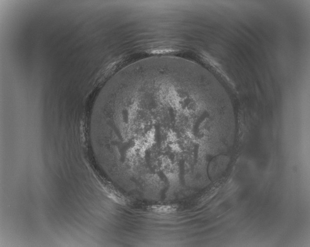 X0000054370161200508051604