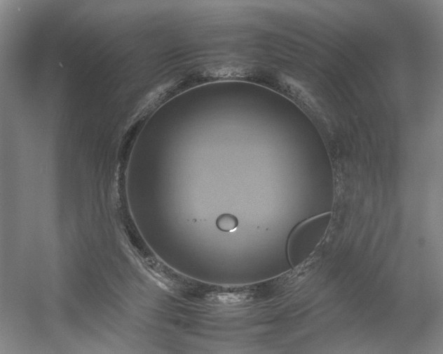 X0000054370163200508051604