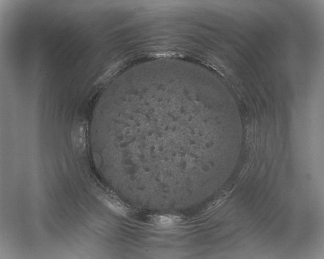 X0000054370165200508051604