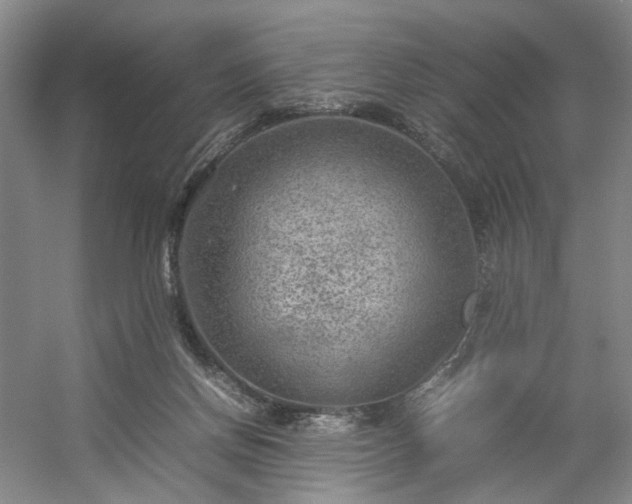 X0000054370166200508051604