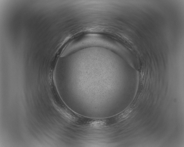 X0000054370168200508051604