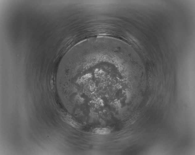 X0000054370169200508051604