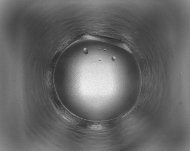 X0000054370171200508051604