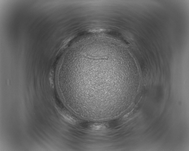 X0000054370175200508051604