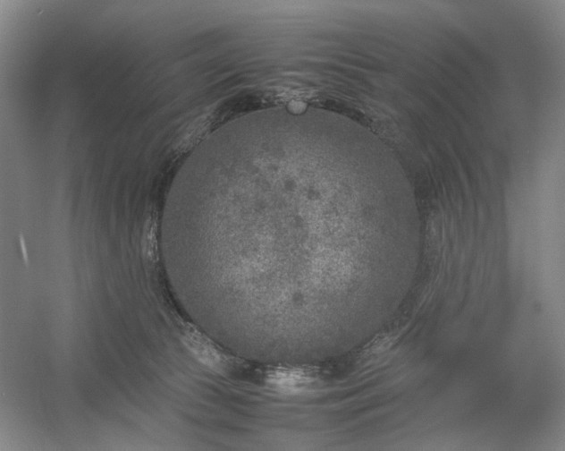 X0000054370177200508051604