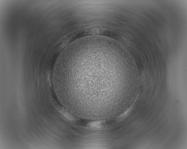 X0000054370178200508051604