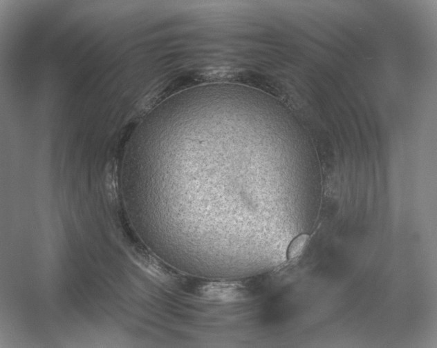 X0000054370179200508051604