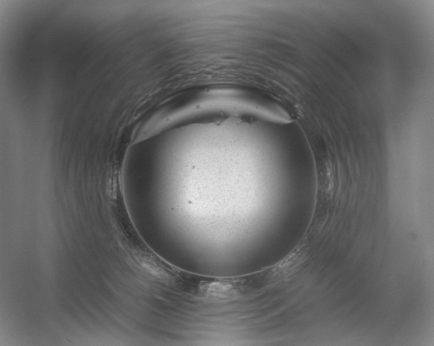 X0000054370180200508051604