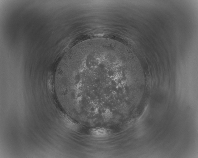 X0000054370181200508051604