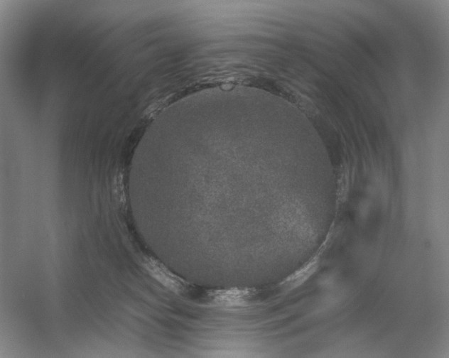 X0000054370182200508051604