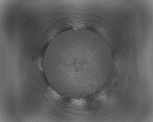 X0000054370185200508051605