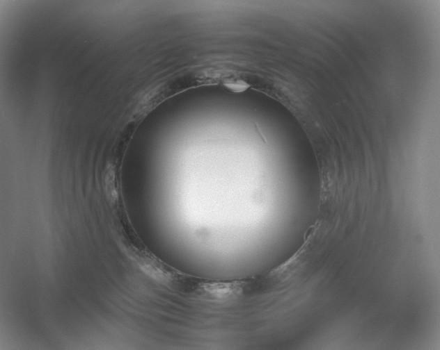 X0000054370187200508051605