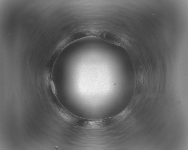 X0000054370188200508051605