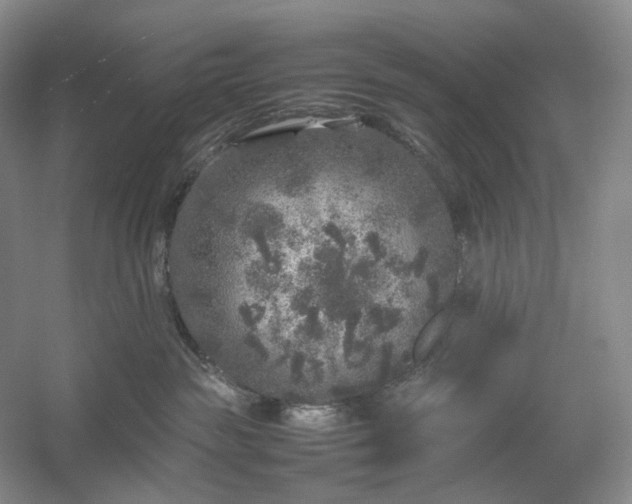 X0000054370189200508051605