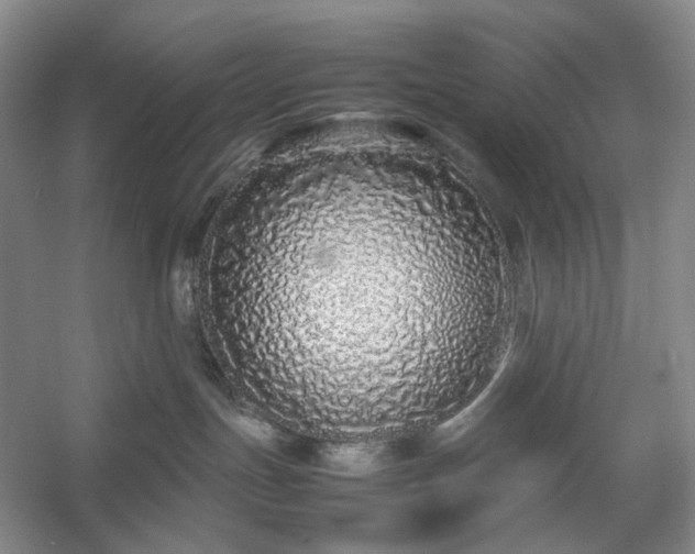 X0000054370191200508051605