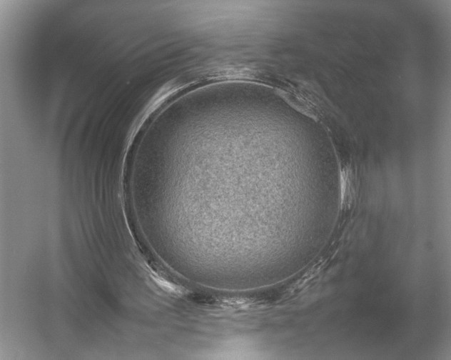 X0000054370195200508051604