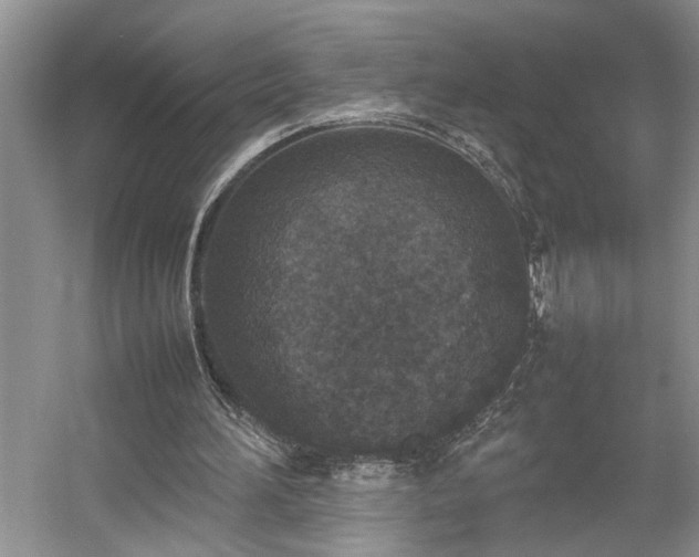 X0000054370196200508051604