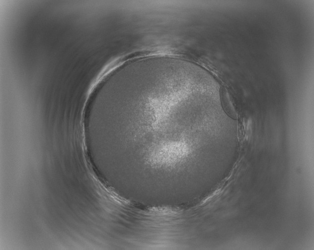 X0000054370198200508051604