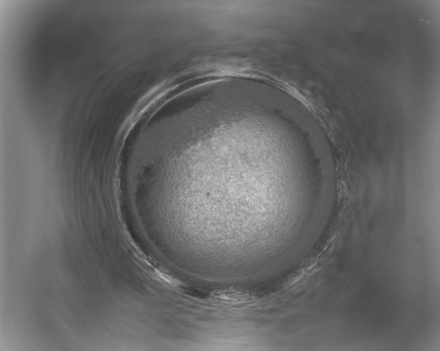 X0000054370199200508051604