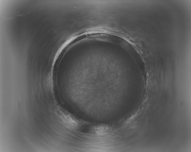 X0000054370200200508051604