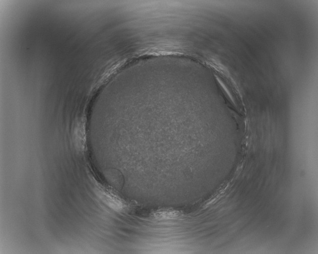 X0000054370202200508051604