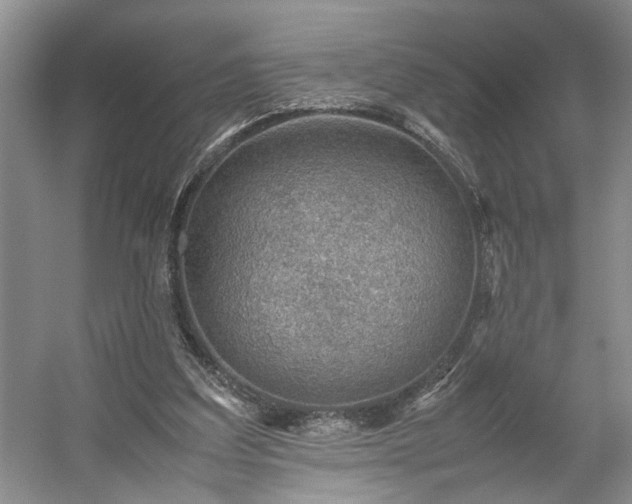 X0000054370203200508051604