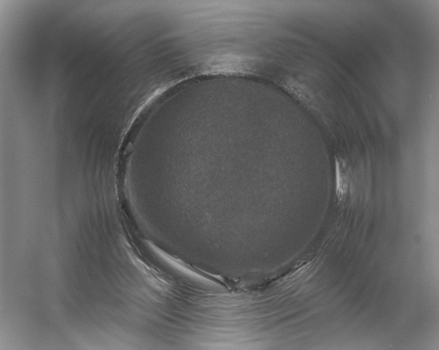 X0000054370204200508051604