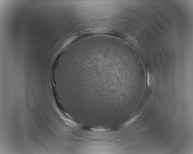 X0000054370205200508051604