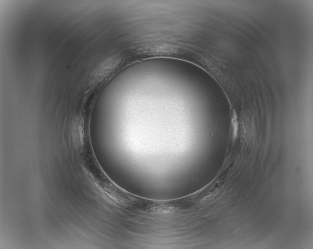 X0000054370206200508051604