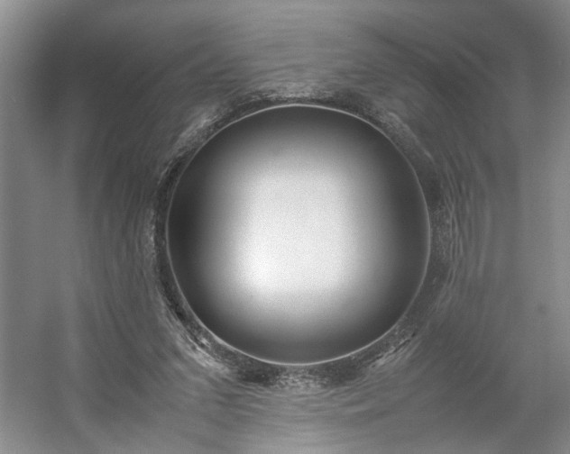 X0000054370207200508051604